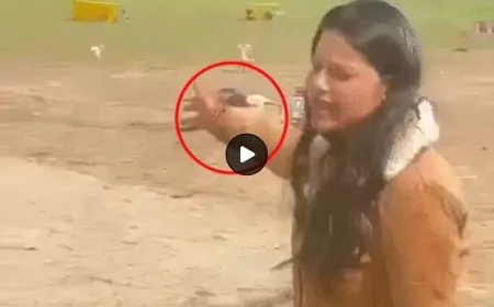 पुलवामा के बाद सबसे बड़ा हमला, जम्मू-कश्मीर के पहलगाम में पर्यटकों पर आतंकियों ने की फायरिंग, 27 पर्यटकों के मारे जाने की खबर- सूत्र