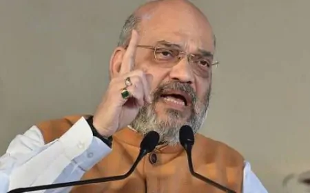 गृहमंत्री अमित शाह ने सभी राज्यों के CM को पाकिस्तानी नागरिकों पर एक्शन का दिया निर्देश