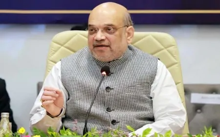 केंद्रीय गृह सचिव गोविंद मोहन ने की बैठक, पाकिस्तानी नागरिकों को जल्द वापस भेजने के दिए निर्देश