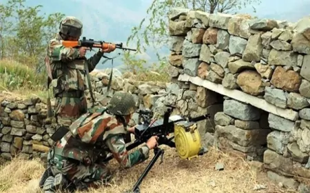 पाकिस्तान ने LoC पर तोड़ा सीजफायर, भारतीय सेना ने दिया मुंहतोड़ जवाब