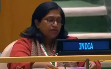 भारत ने UN में खोली पाकिस्तान की पोल, पाकिस्तानी मंत्री ख्वाजा आसिफ का कुबूलनामा बना सबूत