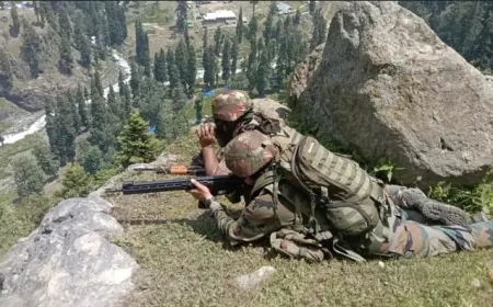 पाकिस्तान ने फिर तोड़ा सीजफायर, भारतीय सेना ने तबाह की पाक की सैन्य चौकियां 