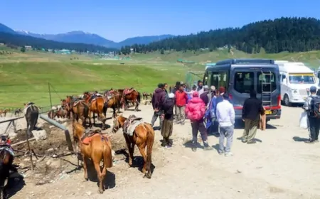 पहलगाम आतंकी हमले के बाद जम्मू-कश्मीर में आधे से ज्यादा पर्यटन स्थल बंद