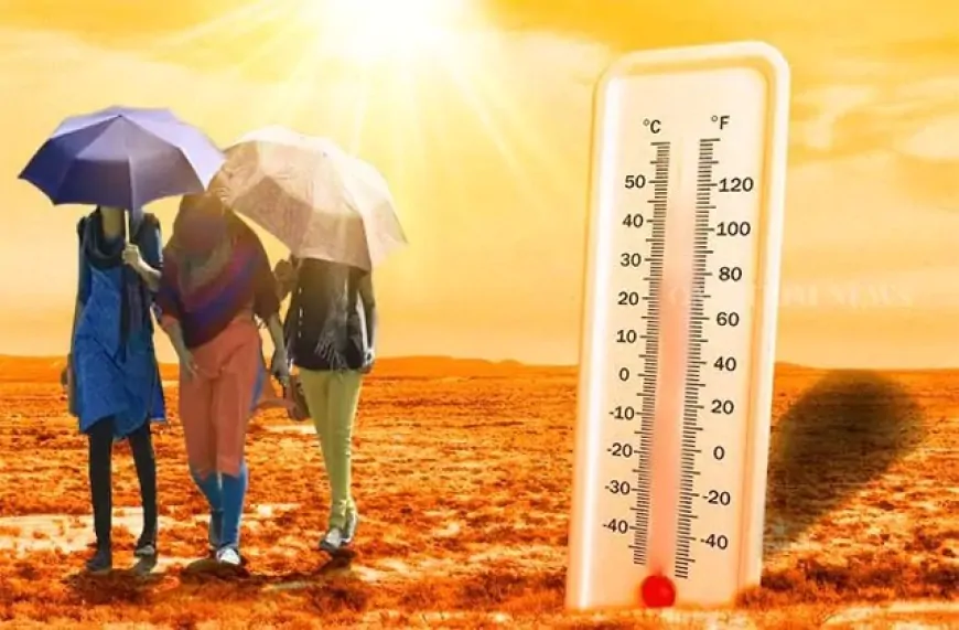 हरियाणा के 15 जिलों में गर्मी का यलो अलर्ट, मौसम विभाग ने जारी किया अलर्ट