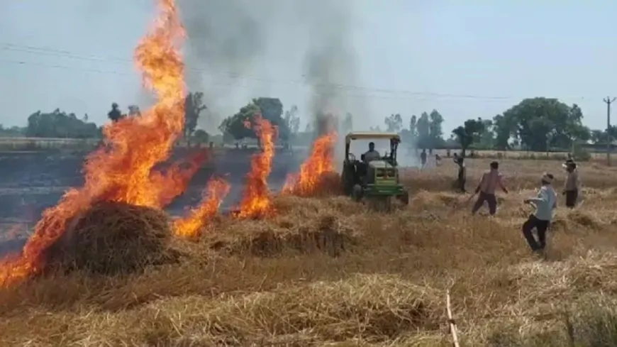 चलती गाड़ी में लगी आग, आग फैलने से सड़क किनारे गेहूं की फसल बर्बाद