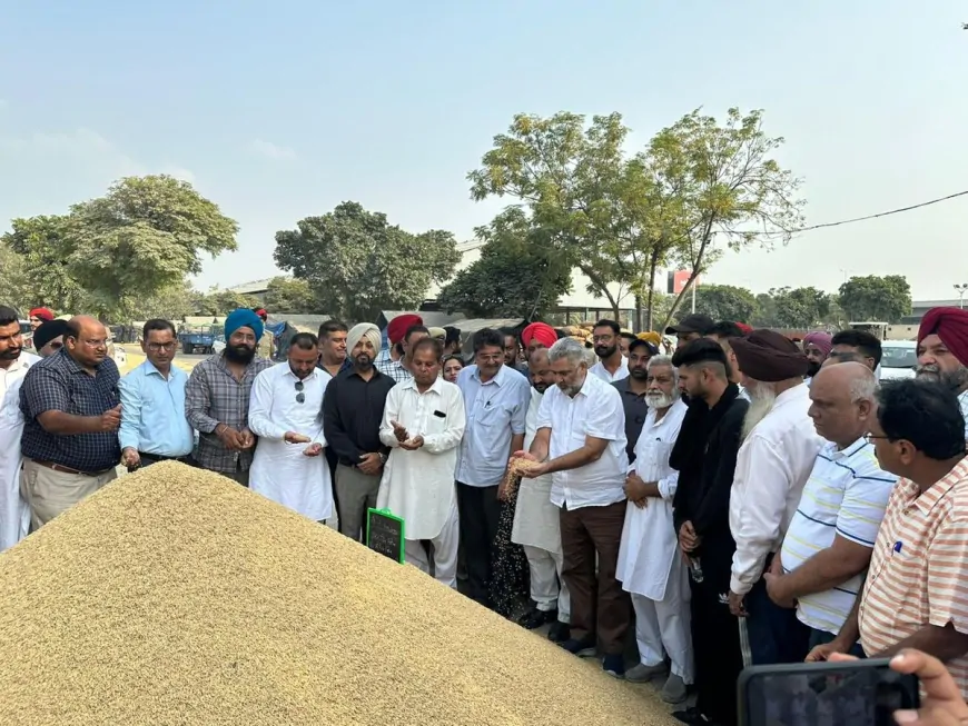 अनाज मंडियों में गेहूं की खरीद जारी, मंत्री लालचंद कटारुचक ने किया मंडी का निरीक्षण
