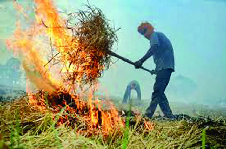 पराली जलाने की समस्या पर लगेगी रोक, कृषि उपकरणों पर सब्सिडी देगी पंजाब सरकार