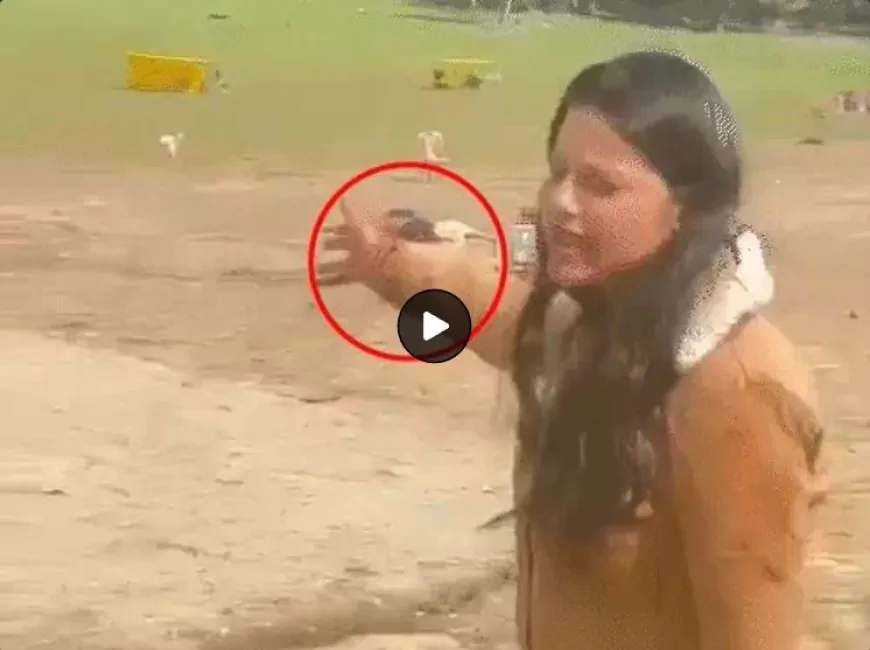 पुलवामा के बाद सबसे बड़ा हमला, जम्मू-कश्मीर के पहलगाम में पर्यटकों पर आतंकियों ने की फायरिंग, 27 पर्यटकों के मारे जाने की खबर- सूत्र
