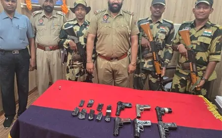 BSF और पंजाब पुलिस का संयुक्त अभियान, अमृतसर और तरनतारन से दो ड्रोन बरामद