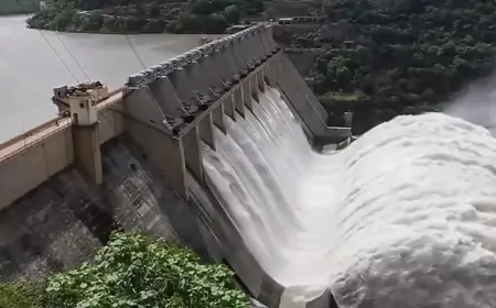 भाखड़ा नहर से पानी बंटवारे पर पंजाब हरियाणा में विवाद, 2 राज्यों के बीच जल विवाद में केंद्र की एंट्री