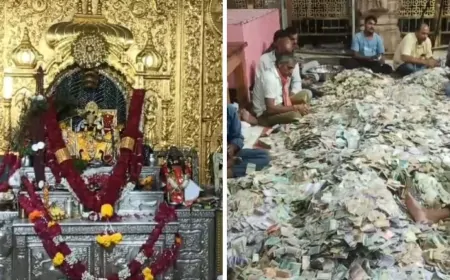 श्री सांवलिया सेठ मंदिर की खुली दान पेटी, चढ़ावा इतना के होश उड़ जाएंगे