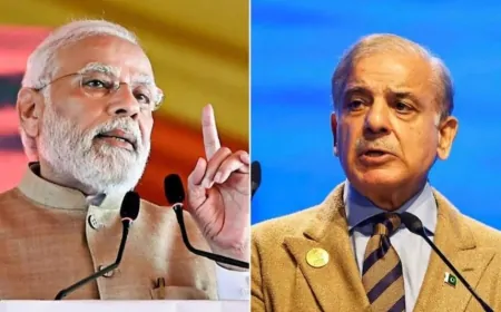 भारत की पाकिस्तान पर एक और करारी चोट पाकिस्तान से वस्तुओं के आयात पर लगाया प्रतिबंध