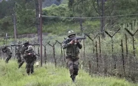 भारत की सख्त चेतावनी से बौखलाया पाकिस्तान, पाकिस्तान लगातार कर रहा सीजफायर का उल्लंघन