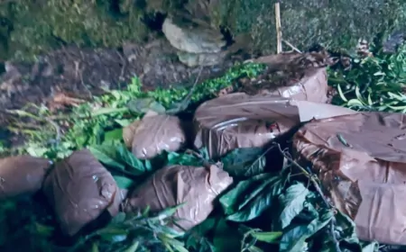 आतंकियों की बड़ी साजिश नाकाम,  पुंछ जिले के सुरनकोट में आतंकी ठिकाने का भंडाफोड़,  5 IED और अन्य सामान हुए बरामद