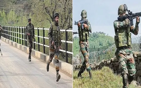 लगातार 12वें दिन भी पाकिस्तान ने किया सीजफायर का उल्लंघन, भारतीय सेना ने दिया मुंहतोड़ जवाब