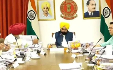 सेना का 'Operation Sindoor' : पंजाब के कई जिलों में स्कूल बंद, रद्द हुए CM मान के कार्यक्रम