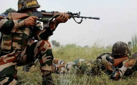 पुंछ में पाकिस्तान की गोलीबारी, भारतीय सेना ने दिया मुंहतोड़ जवाब, एक जवान शहीद