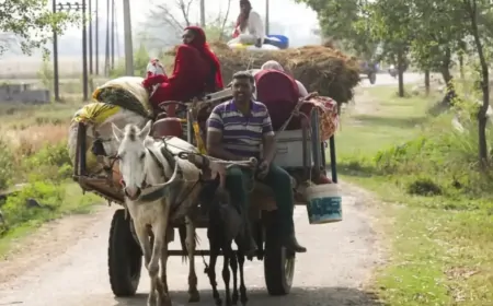 पंजाब के सीमावर्ती इलाकों में दहशत, परिवार और जरूरी सामान लेकर घरों से लोगों का पलायन