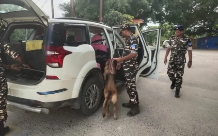 ऑपरेशन ‘सिंदूर' के बाद J&K में बढ़ी सुरक्षा, सेना के जवान कर रहे वाहनों की चेकिंग