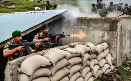 बॉर्डर पर रातभर होती रही फायरिंग, अमृतसर, जालंधर में पाकिस्तान की ओर से फायरिंग