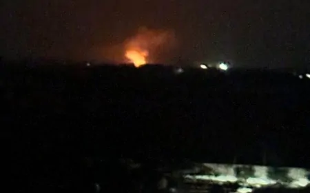 भारतीय सेना ने फिरोजपुर और तरनतारन में किया ड्रोन हमला नाकाम 