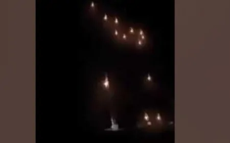 अमृतसर में ड्रोन हमला नाकाम, भारत ने मार गिराए 4 ड्रोन