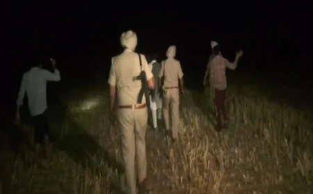 ड्रोन हमलों के बीच अमृतसर में पंजाब पुलिस का सर्च ऑपरेशन