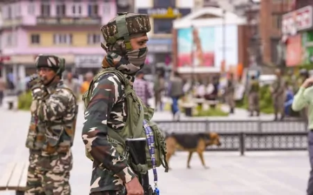 पाकिस्तान ने 26 शहरों पर किया ड्रोन हमला, भारतीय सेना ने सभी पाकिस्तानी ड्रोन गिराए