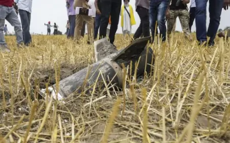 पाकिस्तान ने जालंधर में किया ड्रोन अटैक,  भारतीय सेना ने ड्रोन को किया नष्ट