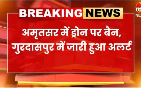 अमृतसर में ड्रोन पर बैन, गुरदासपुर में जारी हुआ अलर्ट