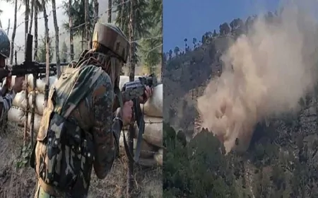 LoC पर गोलीबारी रुकी, श्रीनगर में विस्फोट नहीं, वापस लौटे PAK ड्रोन