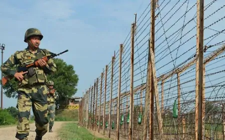 पाकिस्तान ने किया सीजफायर का उल्लंघन, अखनूर, पुंछ, नौशेरा, श्रीनगर में की फायरिंग