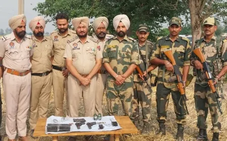 अमृतसर में सुरक्षाबलों की बड़ी कार्रवाई,  सीमा पार से हथियार तस्करी की कोशिश नाकाम
