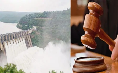 पंजाब और हरियाणा में पानी को लेकर विवाद जारी, पंजाब सरकार ने HC में पुनर्विचार याचिका दायर की