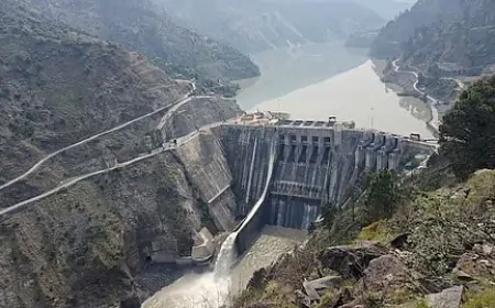 सलाल डैम के पांच और गेट खोले गए, 20 फीट बढ़ा चिनाब नदी का जलस्तर