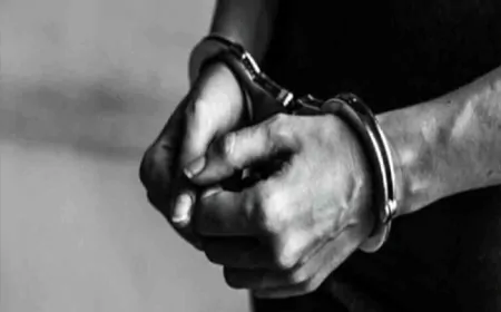 तुर्की से जुड़े नशा तस्कर गिरोह का खुलासा, अमृतसर पुलिस ने तीन आरोपियों को किया गिरफ्तार