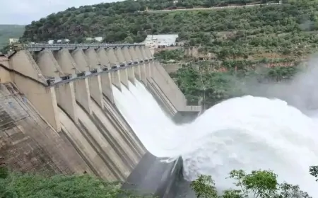 पंजाब सरकार की पुनर्विचार याचिका पर BBMB मामले में हुई सुनवाई, 20 मई को होगी अगली सुनवाई