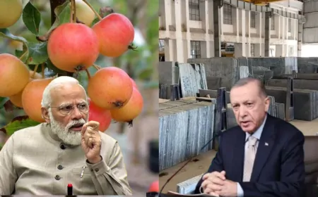 भारत के व्यापारियों ने तुर्किये और अजरबैजान का किया बहिष्कार, मंडियों में नहीं बिक रहे फल 