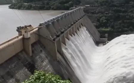 पानी विवाद BBMB की अहम बैठक, पंजाब, हरियाणा, राजस्थान के अधिकारी होंगे शामिल