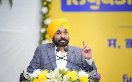 धान की सीधी बुवाई पर सहायता राशि पंजाब सरकार देगी 1500 रुपये प्रति एकड़- CM मान 