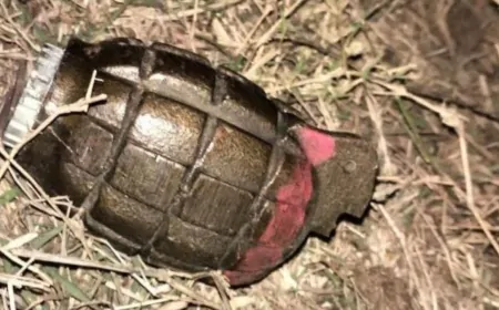 बटाला में हैंड ग्रेनेड मिलने से सनसनी, पुलिस ने इलाके को सील किया, मामले की जांच में जुटी पुलिस