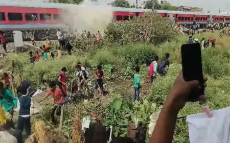 दरभंगा से जालंधर आ रही ट्रेन में लगी आग, यात्रियों में मची अफरा-तफरी 