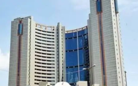 दिल्ली MCD स्टैंडिंग कमेटी चुनाव का एलान, 2 जून को होगा स्टैंडिंग कमेटी का चुनाव