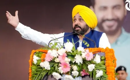 पंजाब सरकार का मिशन रोजगार जारी, 11 विभागों में 450 कर्मचारियों को दी नौकरी