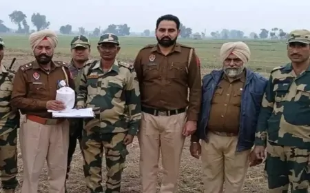 पंजाब में ‘युद्ध-नशे के विरुद्ध’ अभियान जारी, तरनतारन के सीमा क्षेत्र में पुलिस, BSF की संयुक्त कार्रवाई