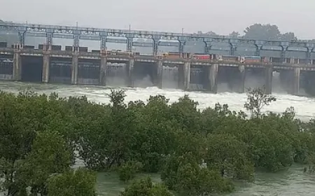 BBMB पंजाब, हरियाणा और राजस्थान को छोड़ेगा पानी