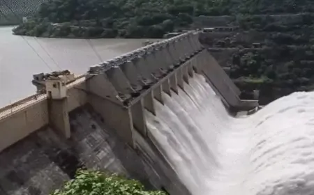 पंजाब-हरियाणा के बीच BBMB पानी पर विवाद जारी, नई रोटेशन के तहत BBMB ने छोड़ा पानी