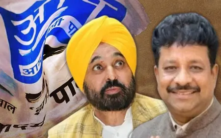 मान सरकार की भ्रष्टाचार के खिलाफ बड़ी कार्रवाई, अपनी ही पार्टी के विधायक रमन अरोड़ा के घर विजिलेंस रेड