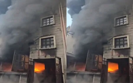 दिल्ली:  बवाना में फैक्ट्री के अंदर लगी भीषण आग