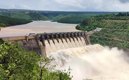 BBMB में केद्र ने की नई नियुक्ति, बीएस नारा को सदस्य (सिंचाई) की सैंपी जिम्मेदारी